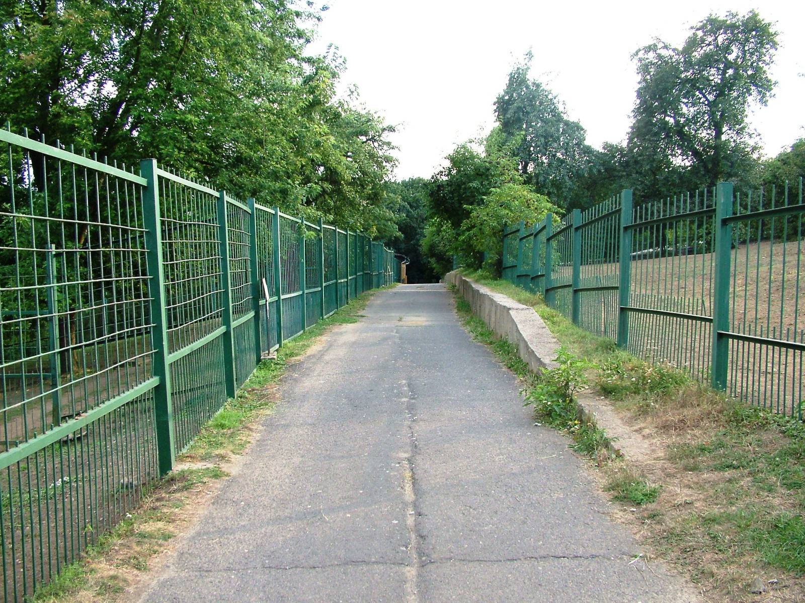 Paddock Viewing at Usti, 29/08/12