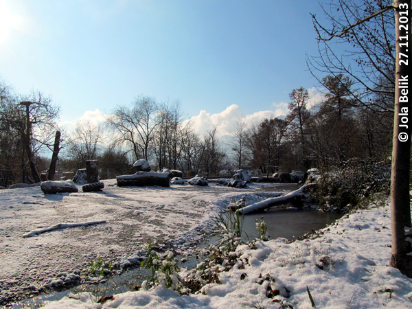 Paddock white rhinos at Zoo Hellbrunn Salzburg