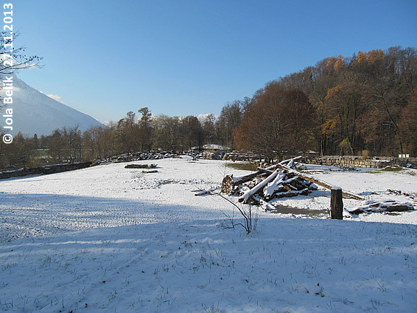 Paddock white rhinos at Zoo Hellbrunn Salzburg