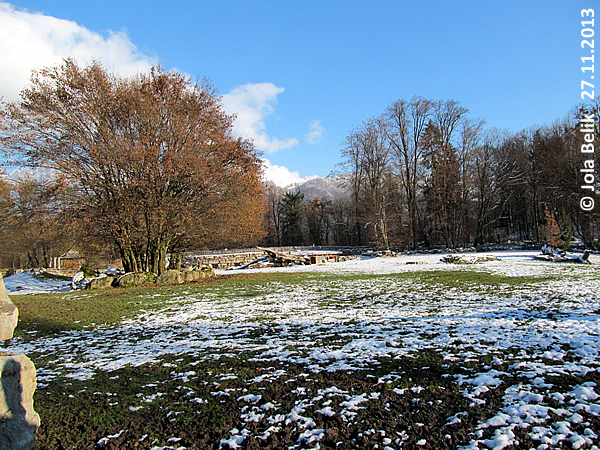 Paddock white rhinos at Zoo Hellbrunn Salzburg