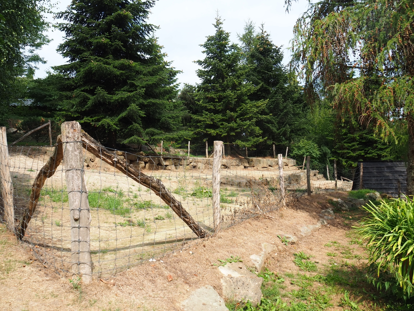 Paddock with unknown inhabitants (Aug 28th, 2018)