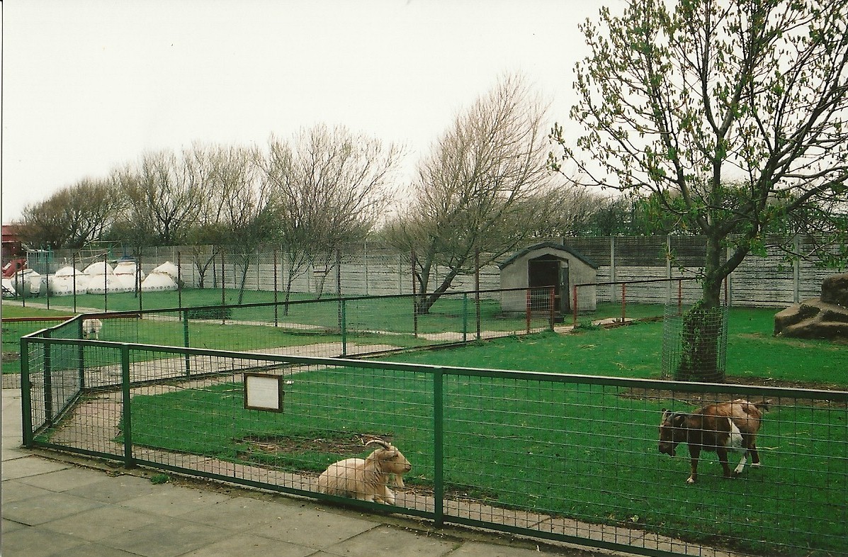 Paddocks 16th April 2004