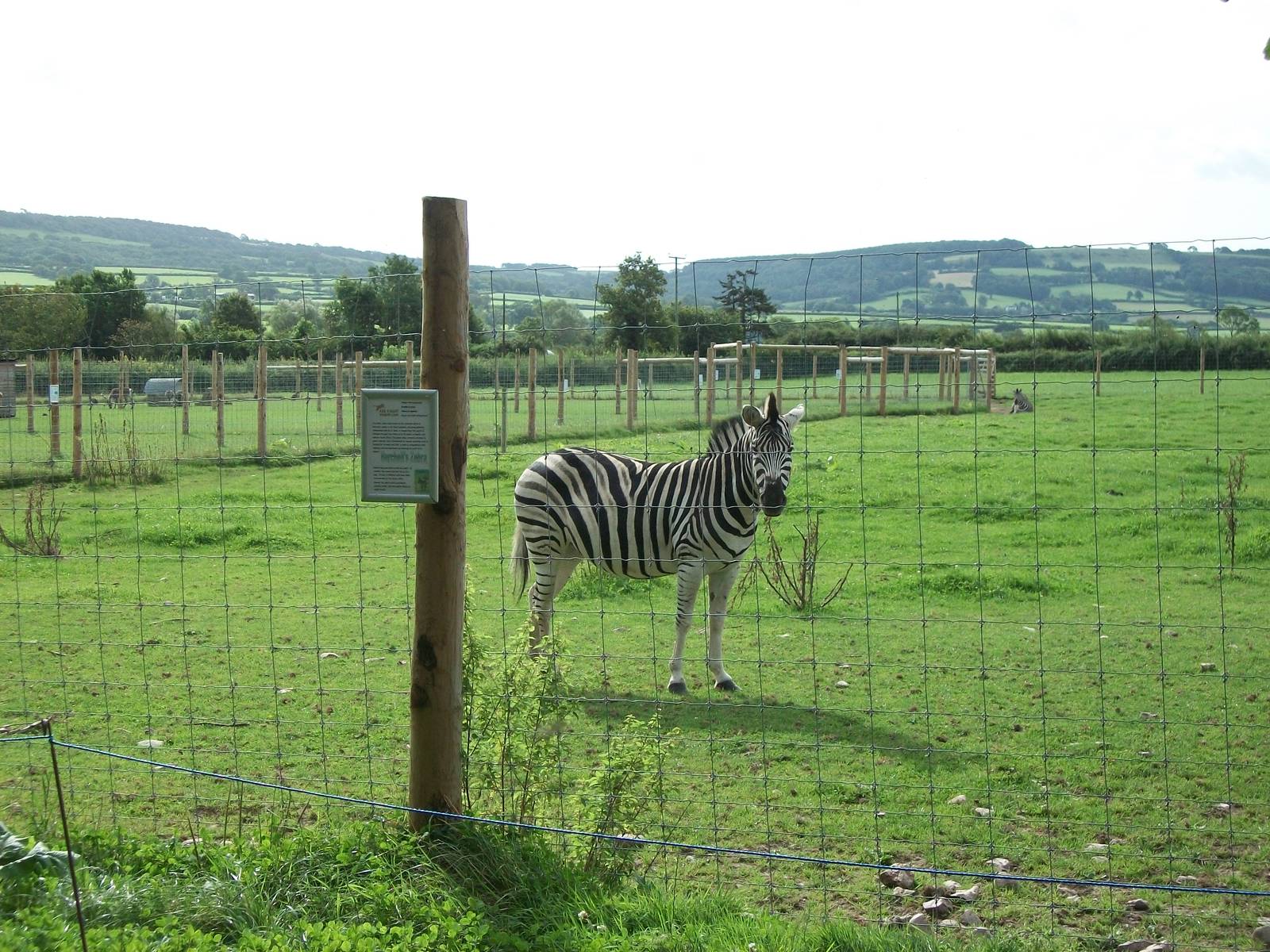 Paddocks area 11th September 2012