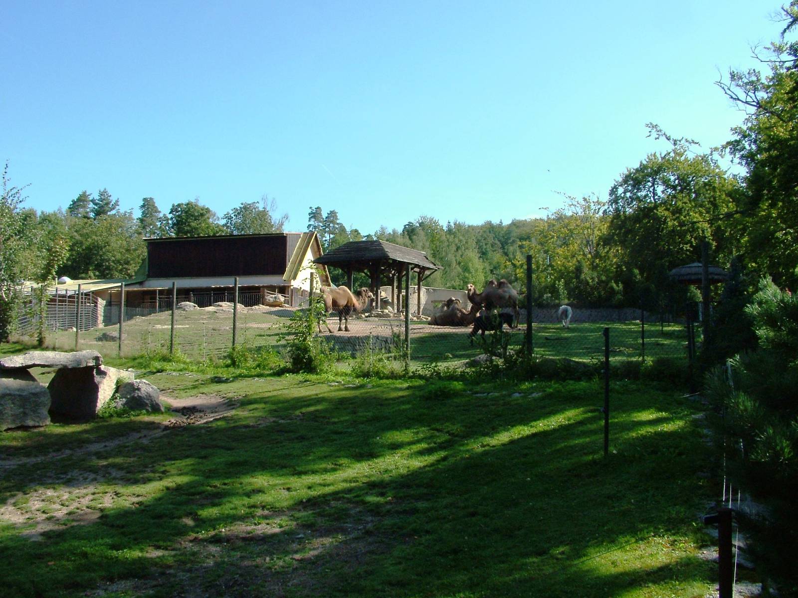 Paddocks at Liberec, 28/08/12