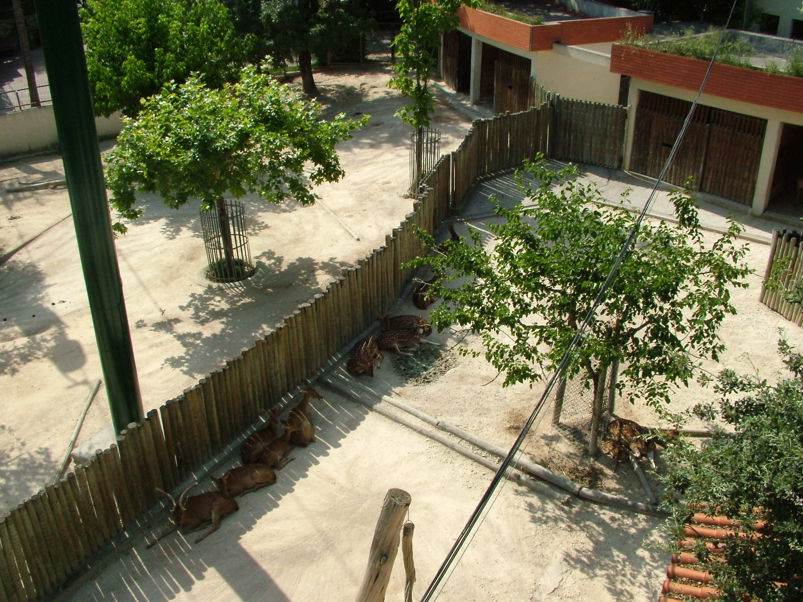 Paddocks at Lisbon Zoo, 24/05/11