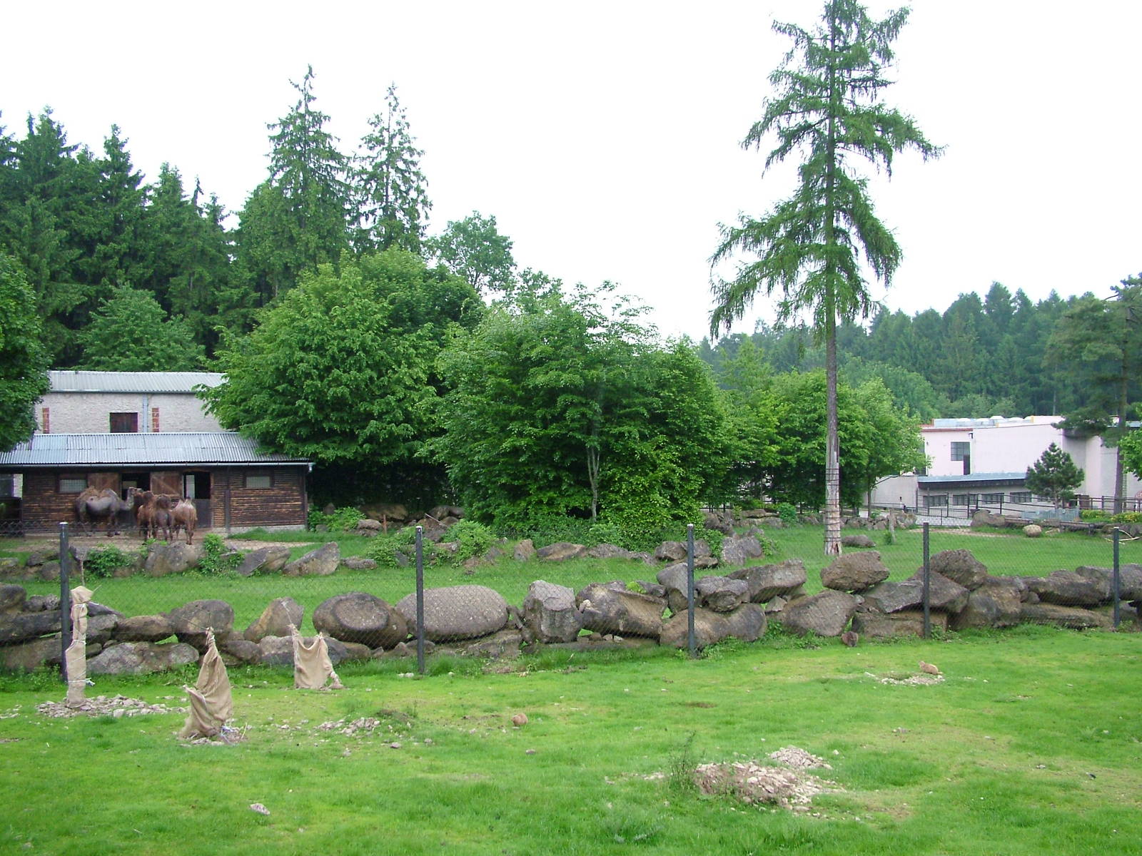 Paddocks at Olomouc 30/05/09