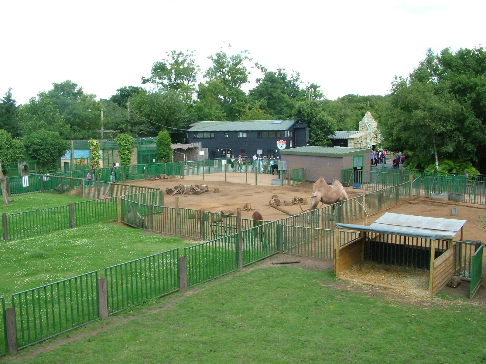 Paddocks at Paradise WP, Broxbourne 25/07/09