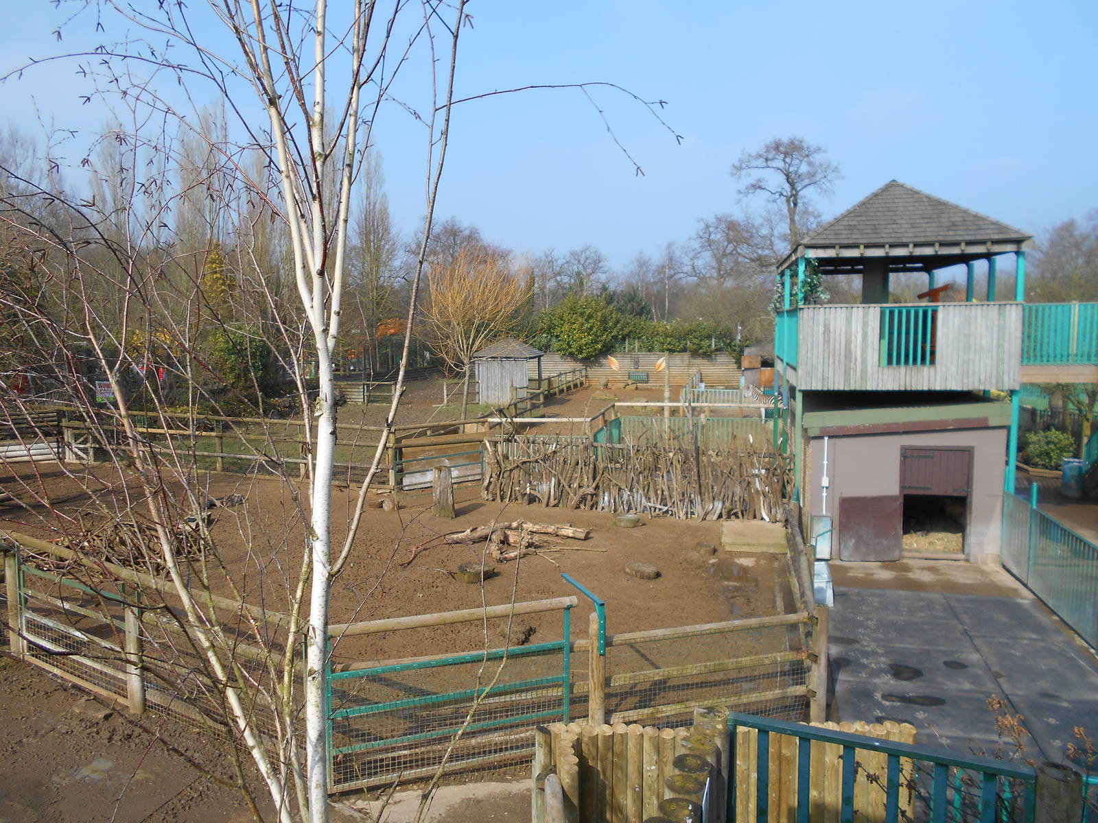 Paddocks - March 11th 2016