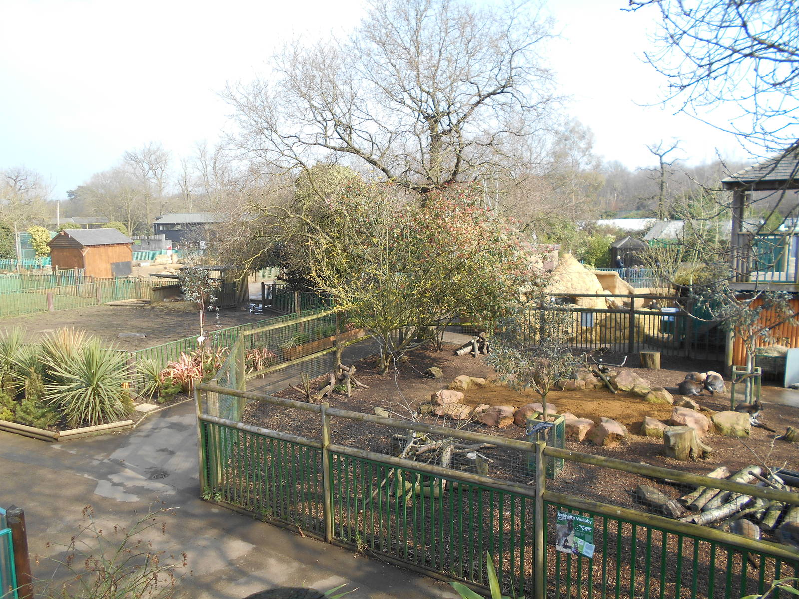 Paddocks - March 11th 2016