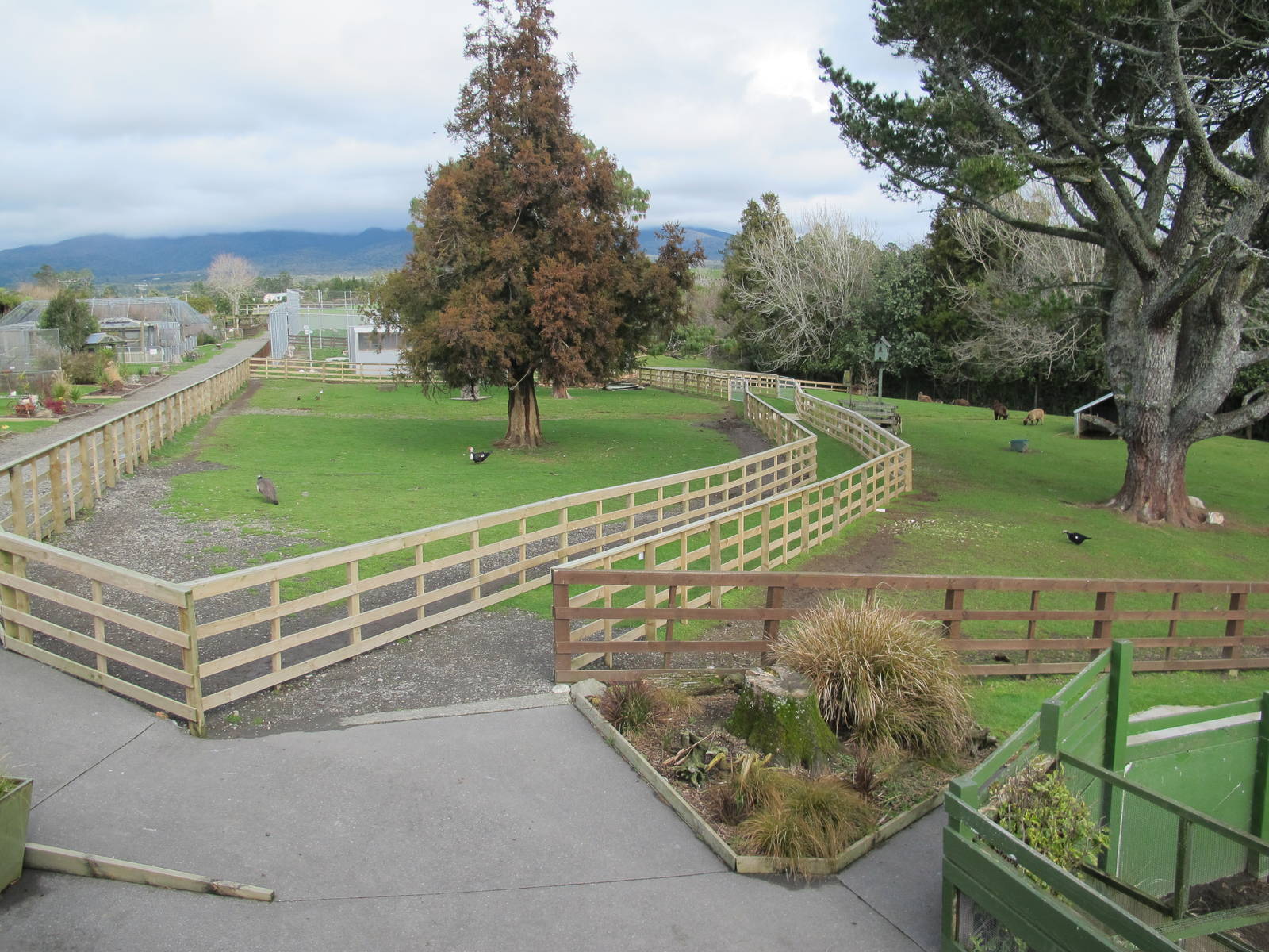 Paddocks - Pouakai Zoo