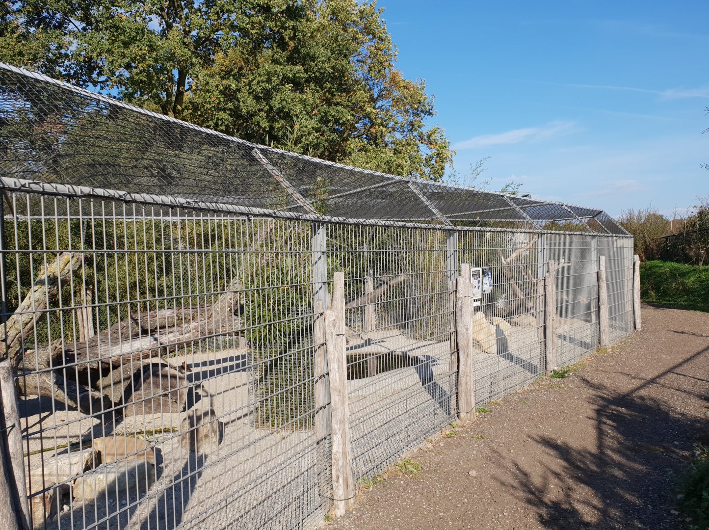 Pademelon - Kookaburra enclosure