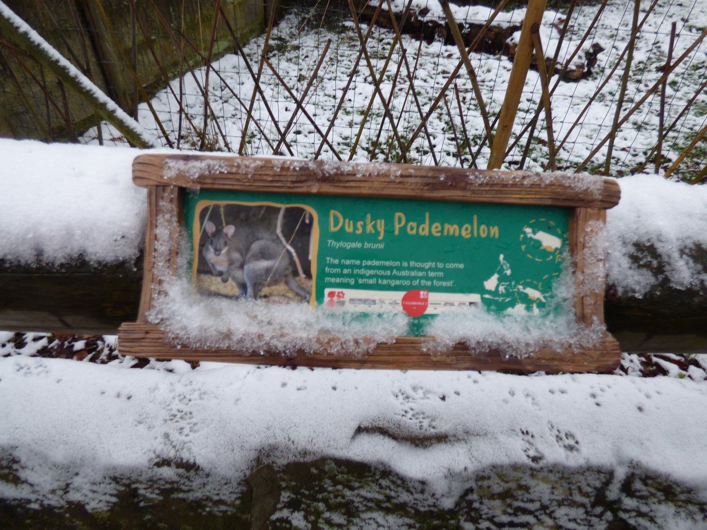 Pademelon signage
