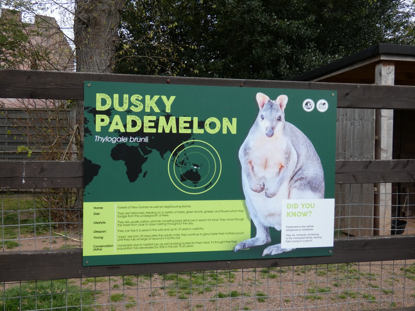 Pademelon signage