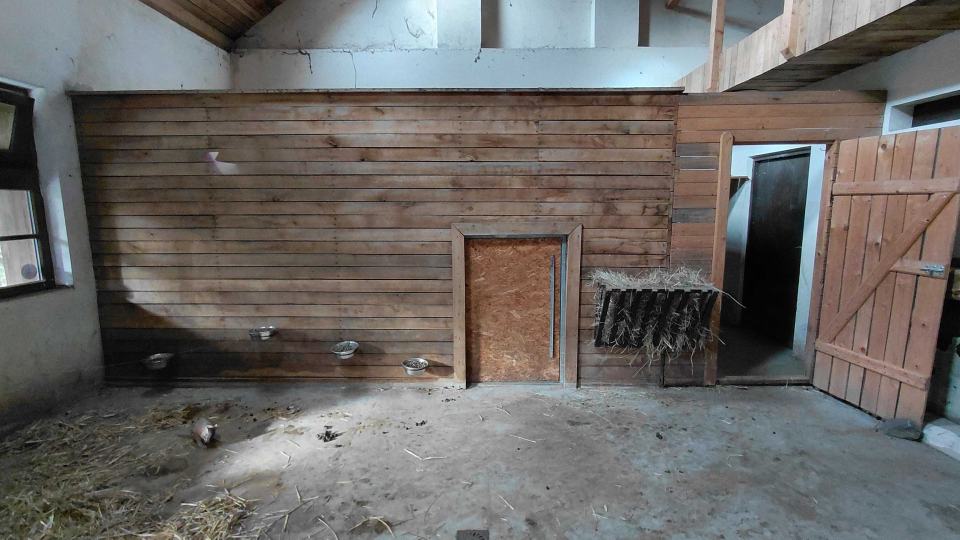 Pademelon + wallaroo indoor exhibit