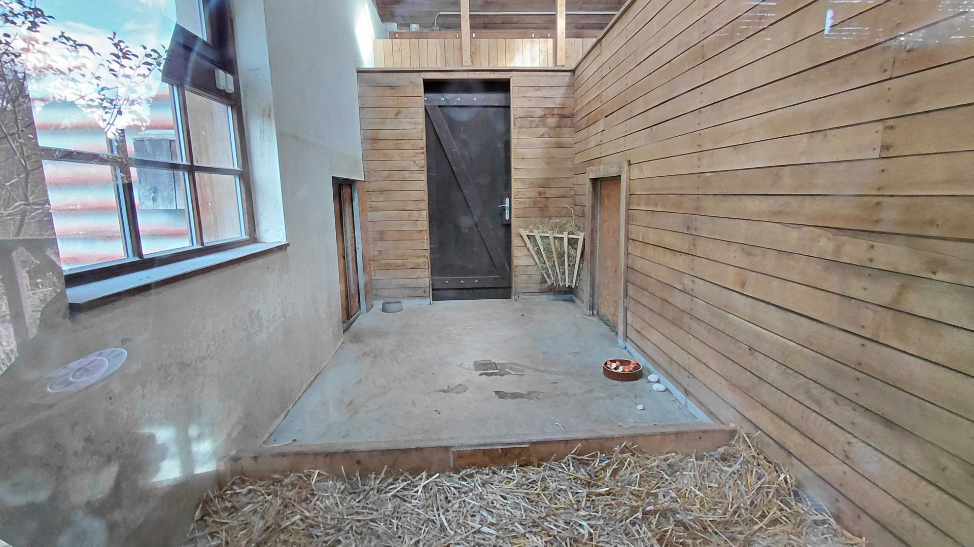 Pademelon + wallaroo indoor exhibit