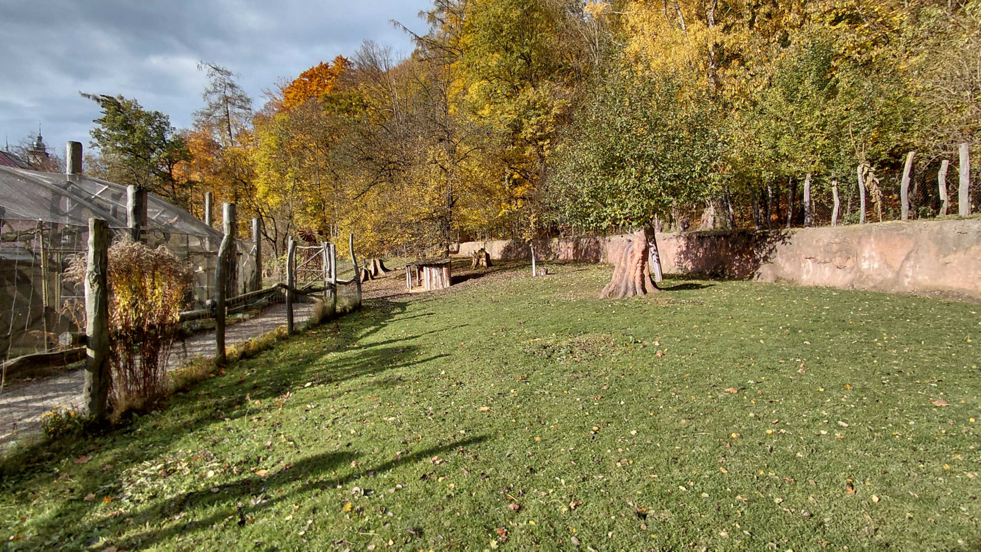 Pademelon + wallaroo outdoor exhibit