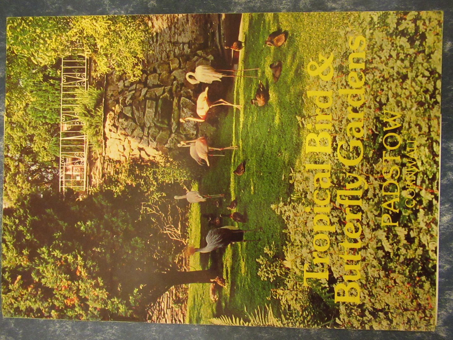 Padstow Bird Garden Guide