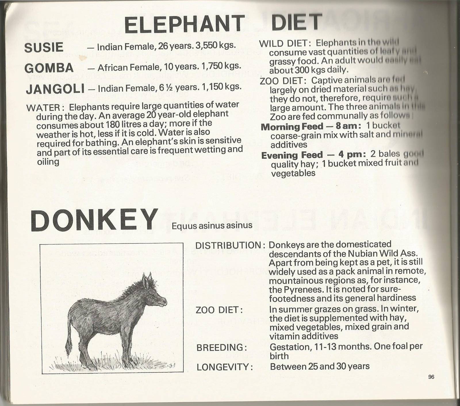 Page from The Animals of Flamingo Land, 1976