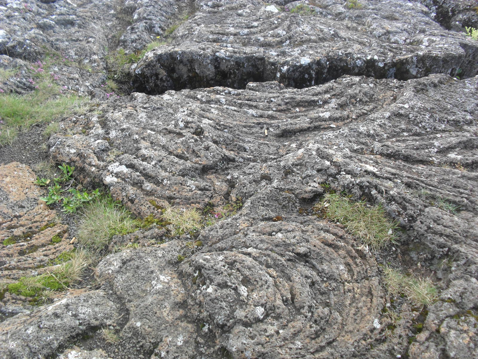 Pahoehoe rock at Bingvellir