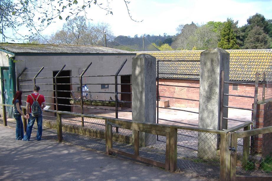 Paignton cattle sheds 1