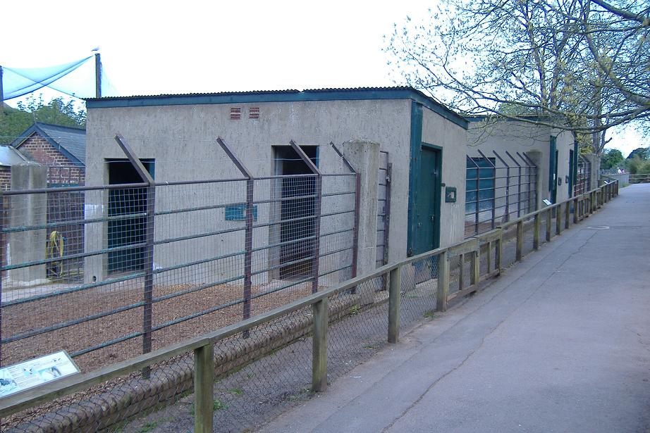 Paignton cattle sheds 2