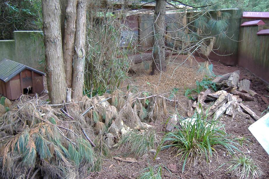 Paignton echidna pen