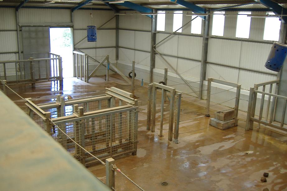 Paignton elephant house