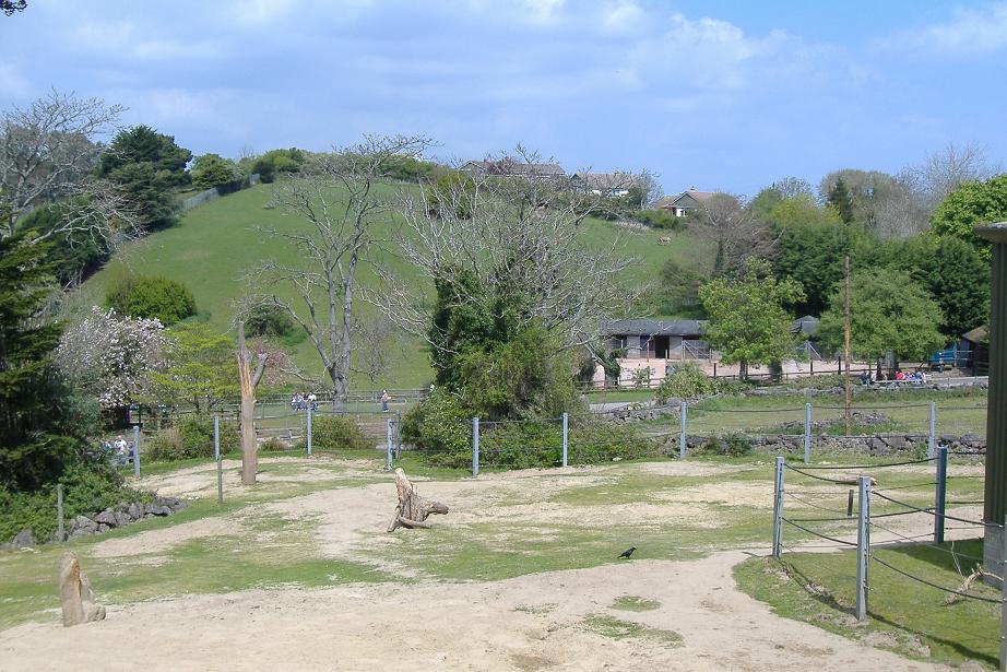 Paignton elephant paddock and view