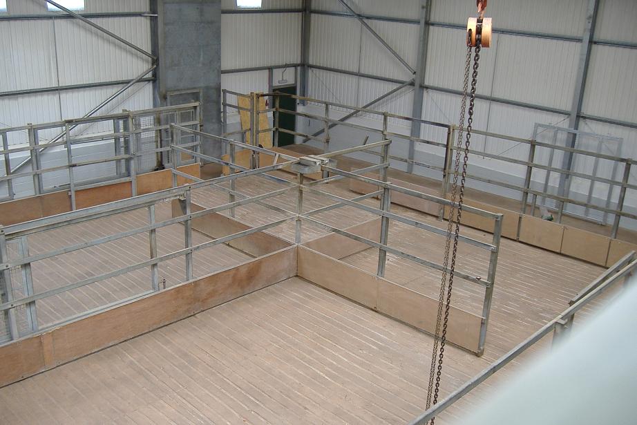 Paignton giraffe house