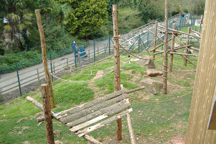 Paignton monkey heights 1