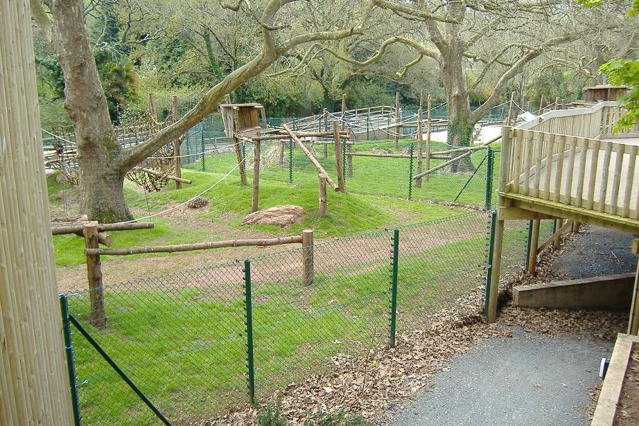 Paignton monkey heights 2