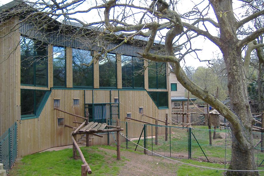 Paignton monkey heights 3