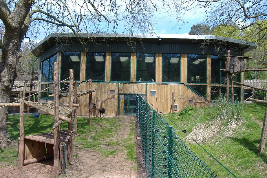 Paignton monkey heights 4