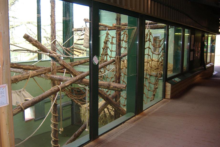 Paignton monkey heights interior