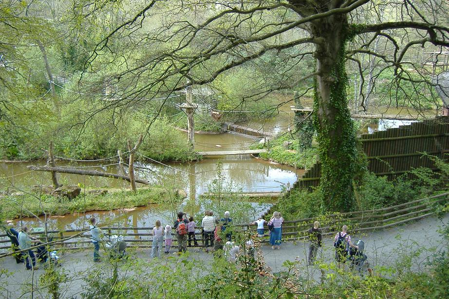 Paignton monkey islands