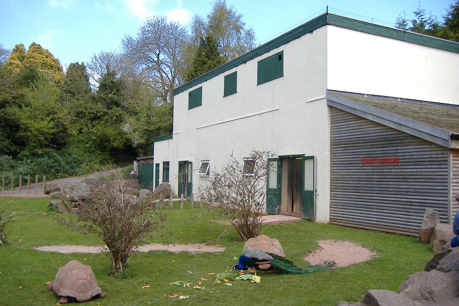 Paignton old giraffe house
