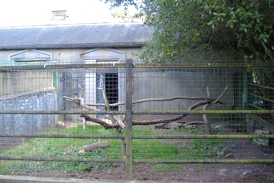 Paignton old ungulate house