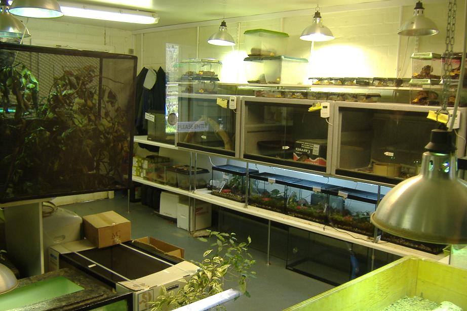 Paignton reptile breeding room