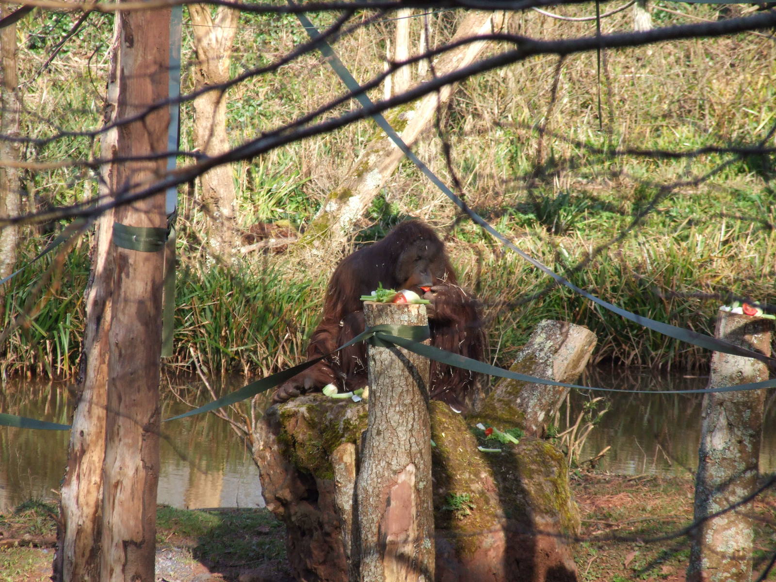 Paignton Zoo 08/03/2014