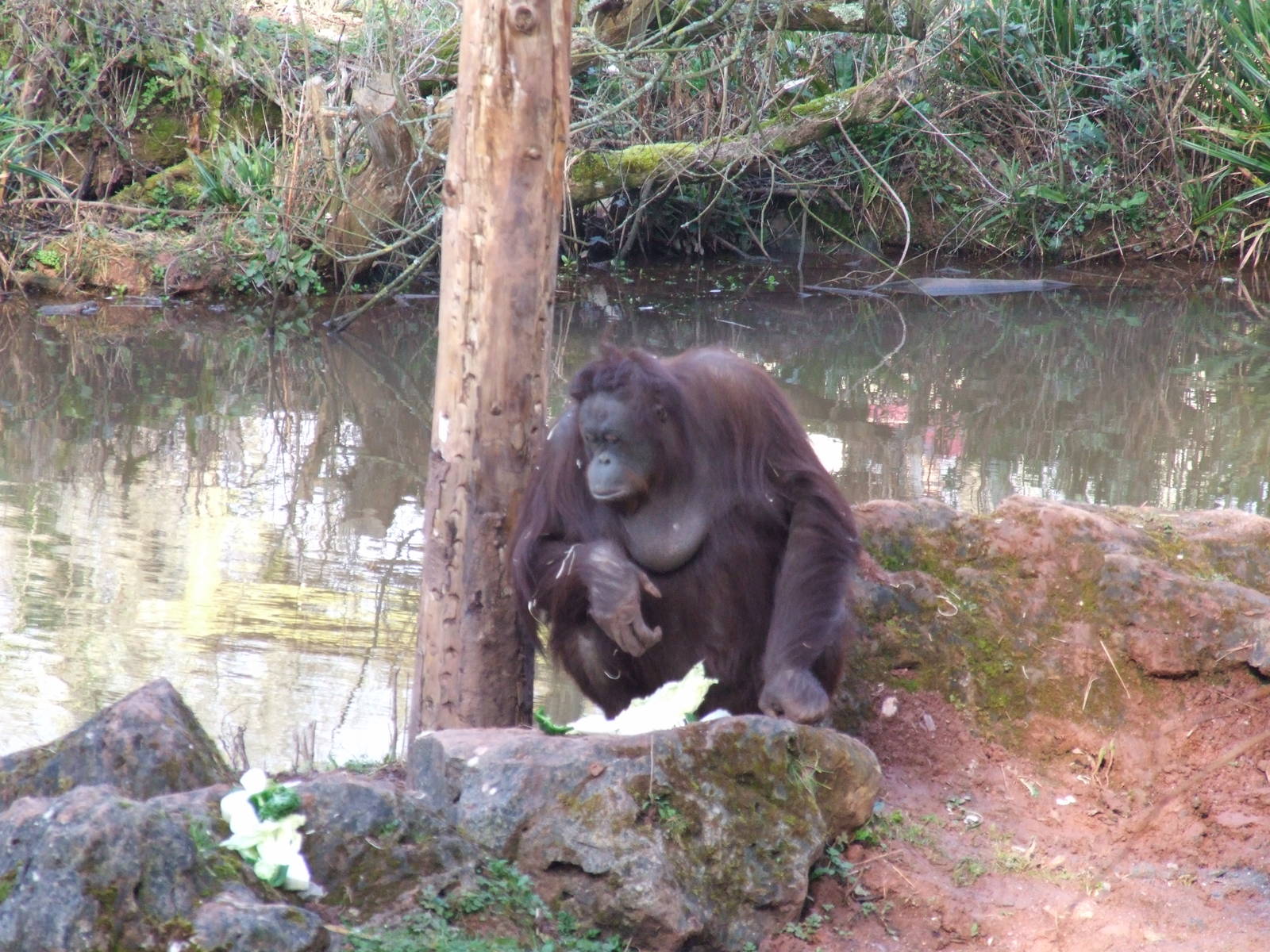 Paignton Zoo 08/03/2014