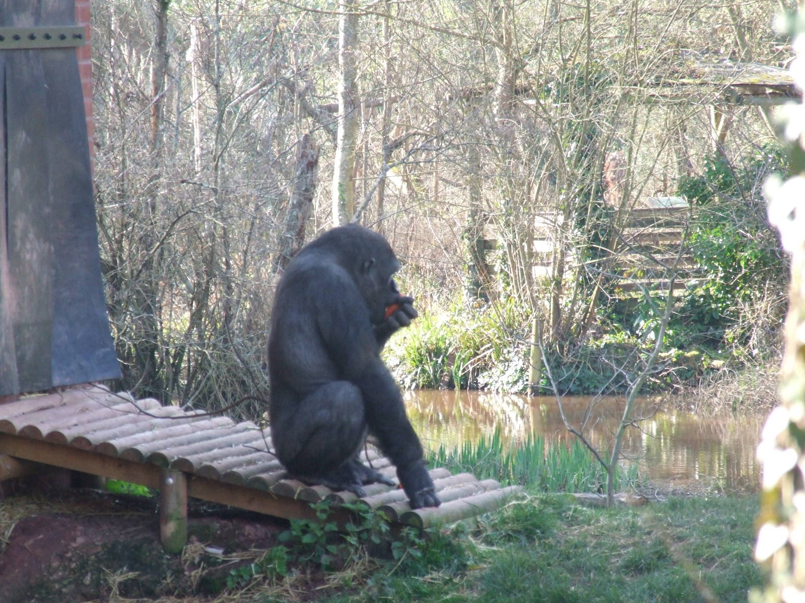 Paignton Zoo 08/03/2014