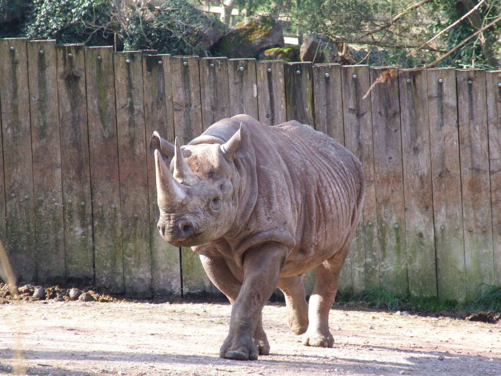 Paignton Zoo 08/03/2014