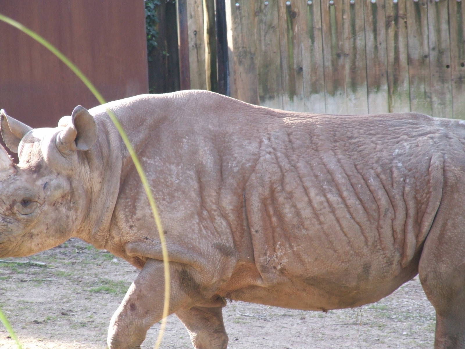 Paignton Zoo 08/03/2014