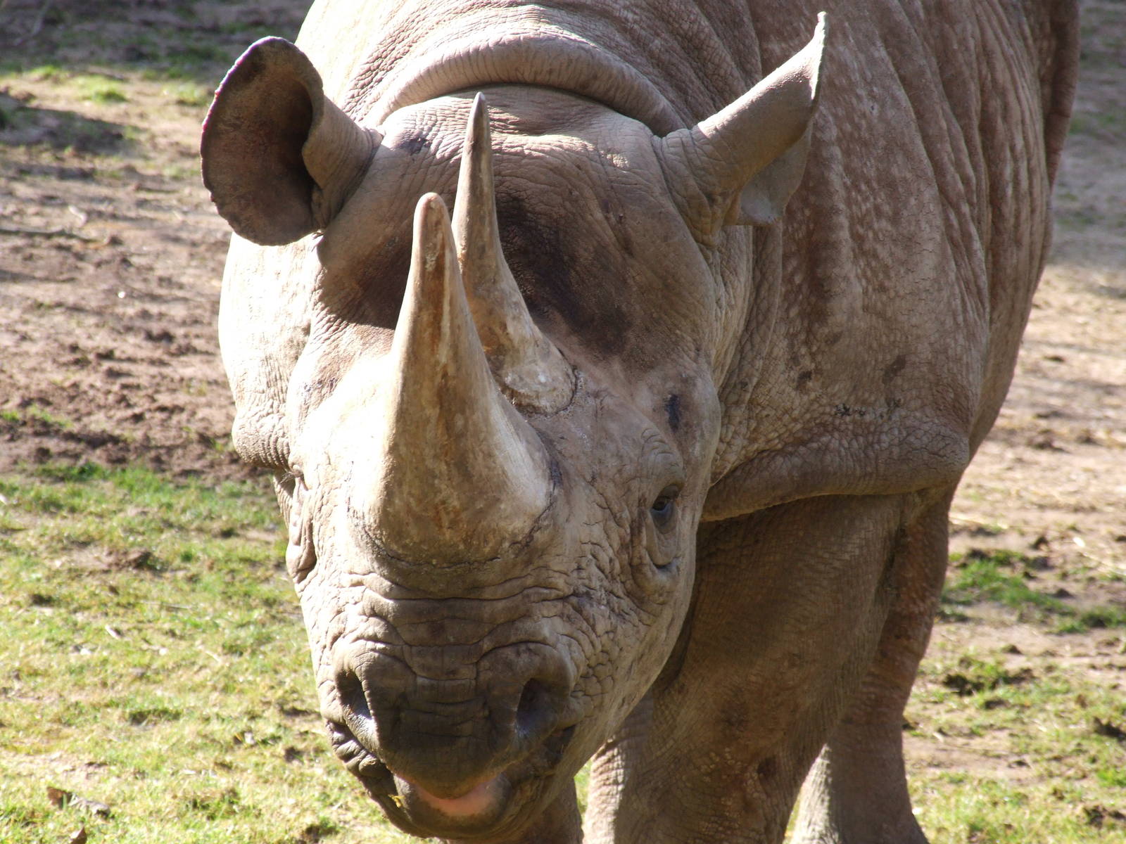 Paignton Zoo 08/03/2014
