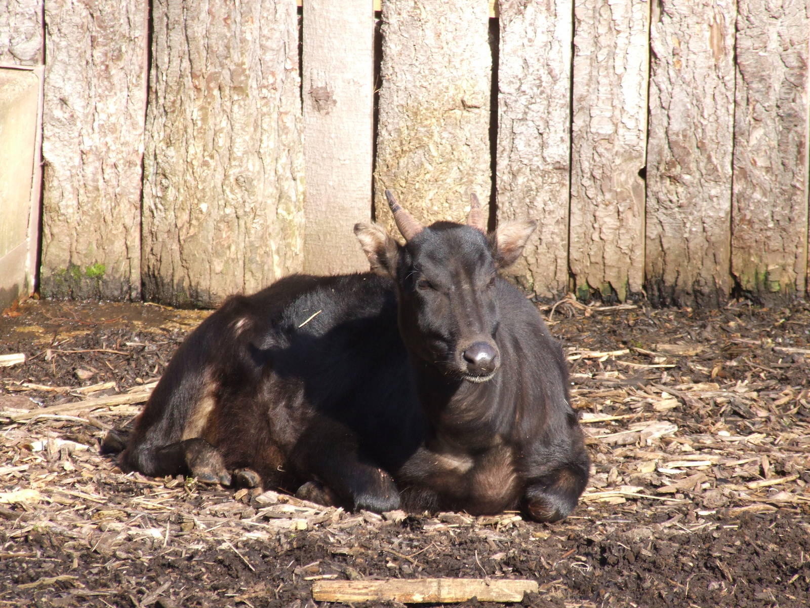 Paignton Zoo 08/03/2014