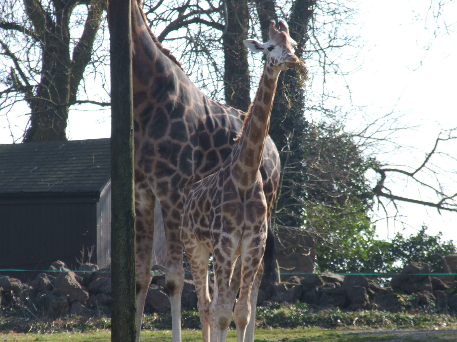 Paignton Zoo 08/03/2014