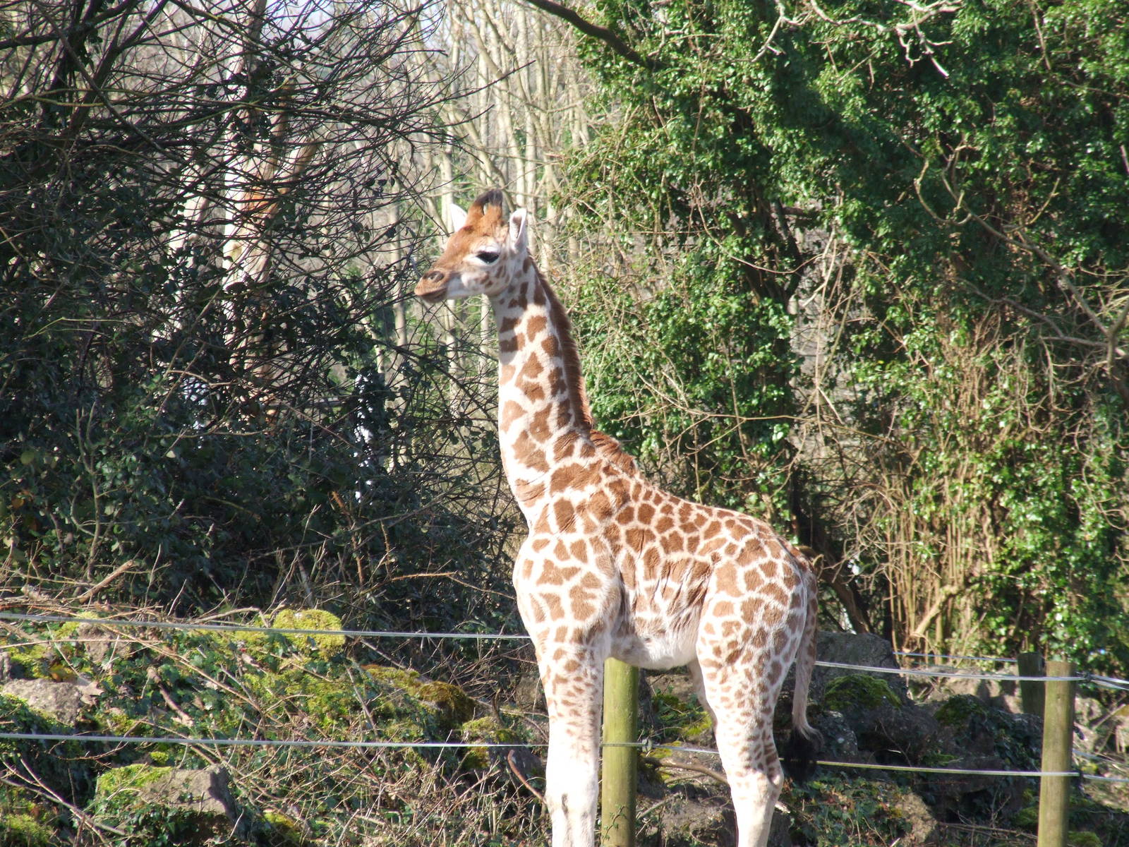 Paignton Zoo 08/03/2014