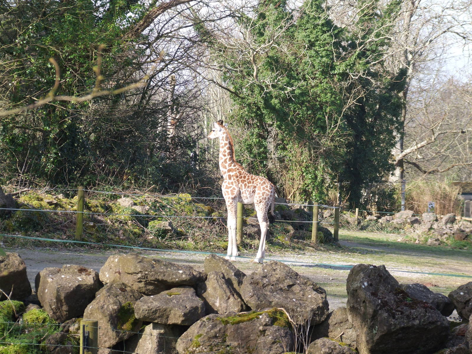 Paignton Zoo 08/03/2014