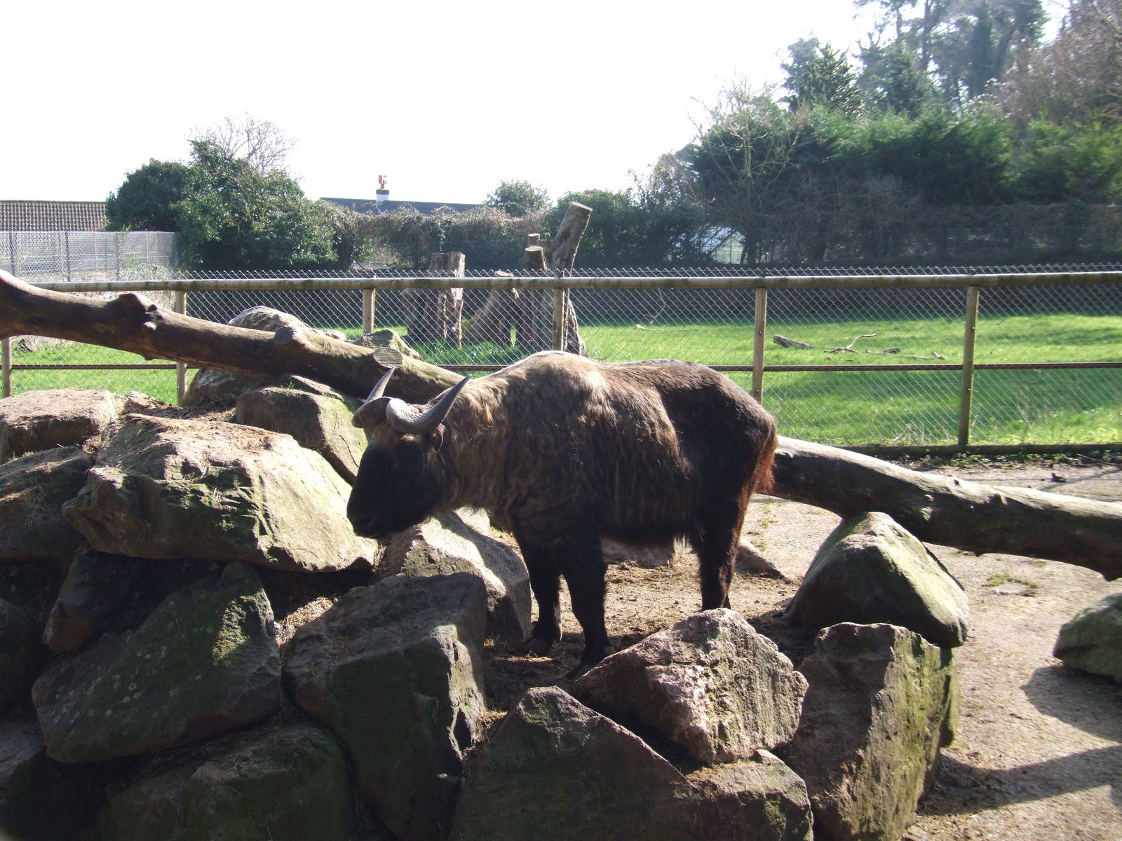 Paignton Zoo 08/03/2014