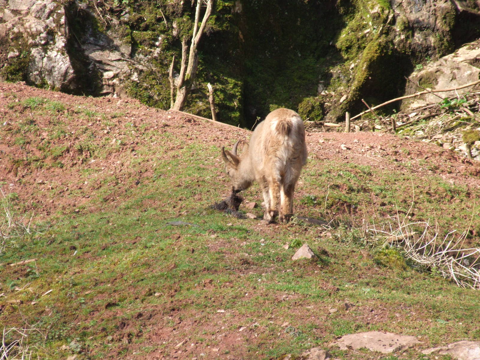 Paignton Zoo 08/03/2014